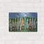 "Planches de surf" par Dennis Frates-1515378713