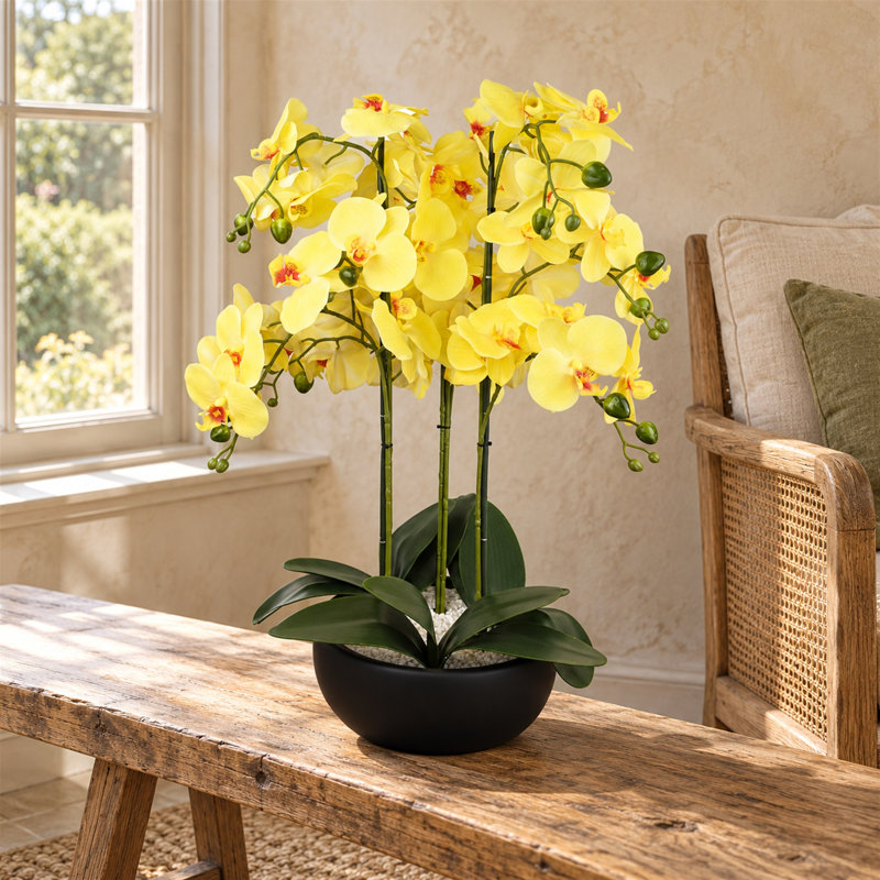 60 cm H Faux Foliage Plant in Ceramic Pot, Yellow, Black