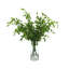 Fausse plante lierre moderne biologique Milan