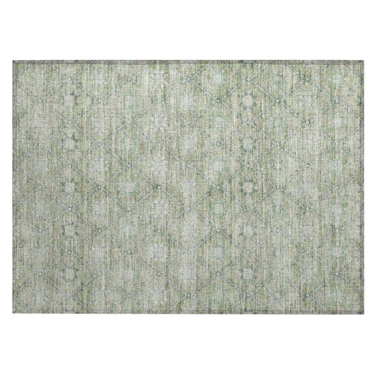 Machine Washable Indoor/Outdoor Xhevrie Aloe Rug