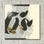 "Collage VI" par Chris Paschke-1771502025