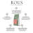 ROUS Painted Dawn Coffee – Rwanda + Colombia Whole Bean Coffee, Rich & Smooth, 12 oz