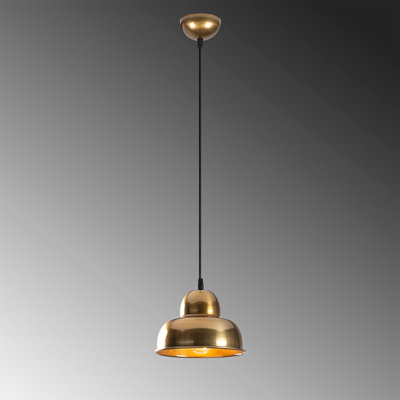 Luminaire suspendu en dome à 1 lumière