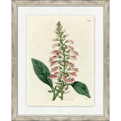Large Antique Blush Floral I Painting