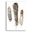 «Earthtone Feathers 1» par Alicia Ludwig, art mural en verre acrylique-536971729