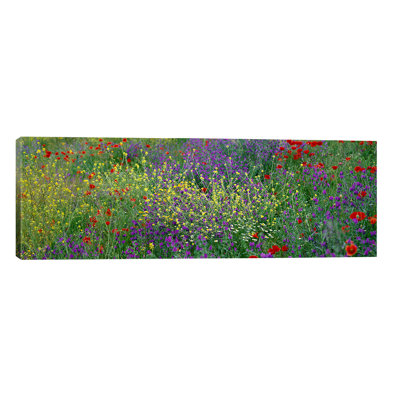 Wildflowers El Escorial Spain 1 Piece Wrapped Canvas Panoramic Wall Art