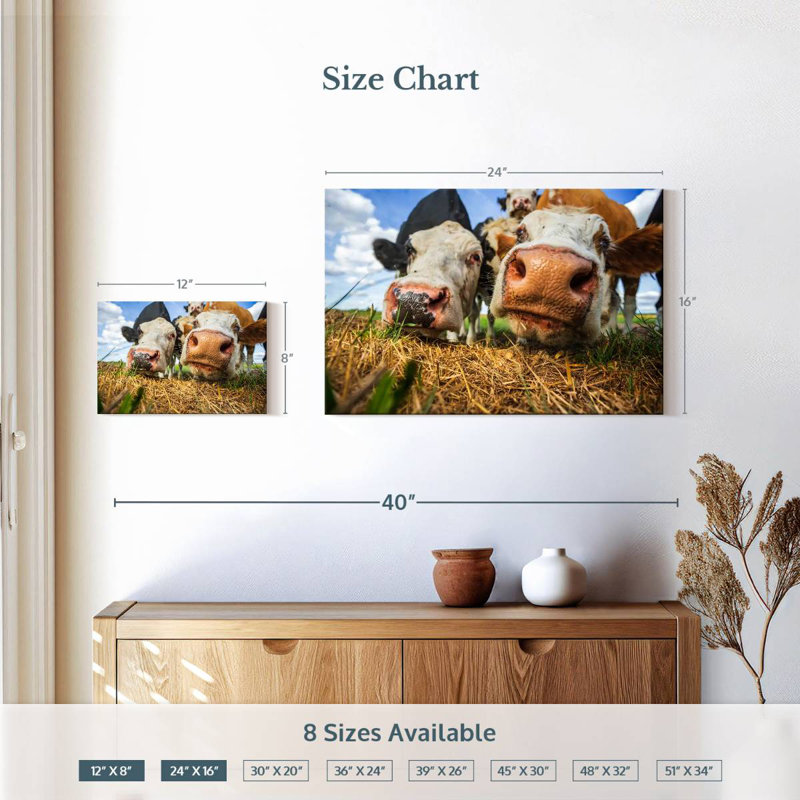Vaches curieuses Brampt, H 16 po x l 24 po