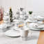 Retsch Arzberg Cosmos Porcelain China Dinnerware - Set of 62