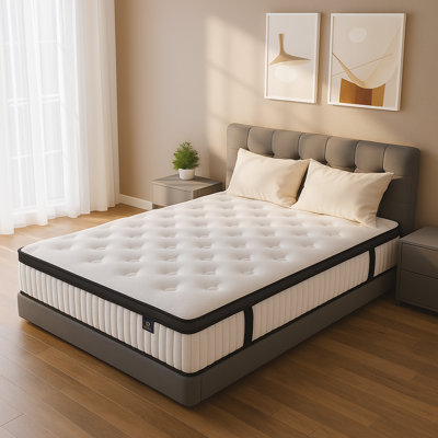 Matelas hybride en mousse à mémoire de forme 12 po Alwyn Home