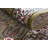 Kelayeh Oriental Indoor Rug-71262636