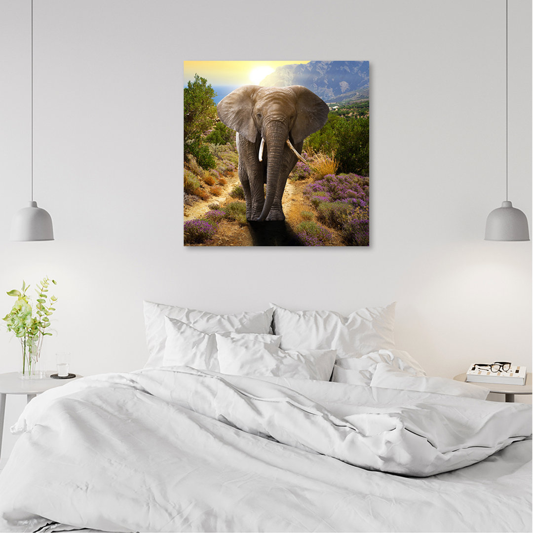 Leinwandbild Elephant at Sunset Art