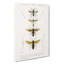 Wasp Illustrations PL. 2 by Charles D' Orbigny - Wrapped Canvas Painting-55305499