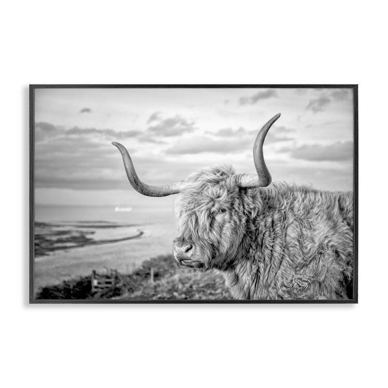 Bétail avec brise océanique, estampe numérique par Jasper Huish, Giclée encadrée noir minuit, H 12 po x l 18 po