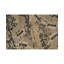Wool Area Rug