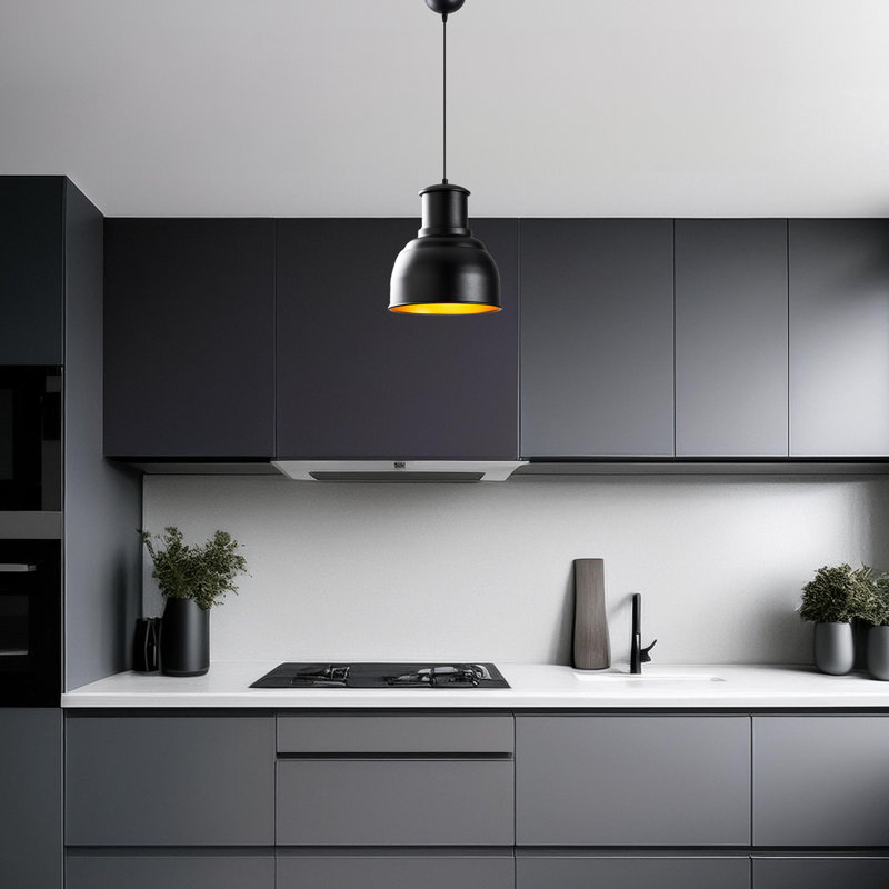 1 - Light Black Single Pendant