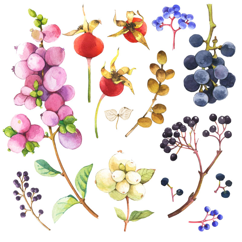 Illustration aquarelle - peinture sur toile tendue, L 36 po x H 36 po