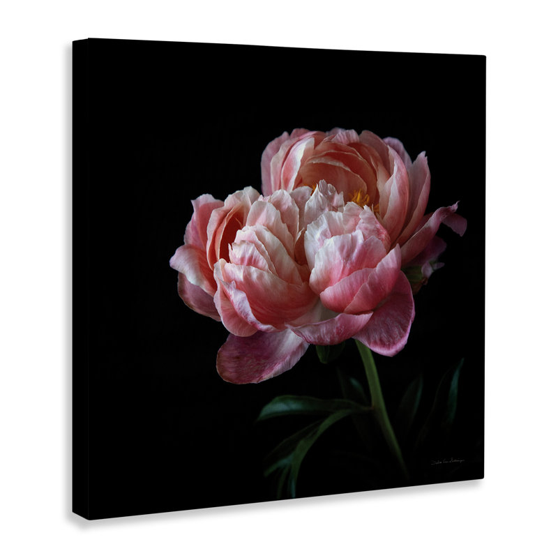 «Dark Rose», reproduction sur toile par Debra Van Swearingen, H 24 po x l 24 po x P 1,5 po