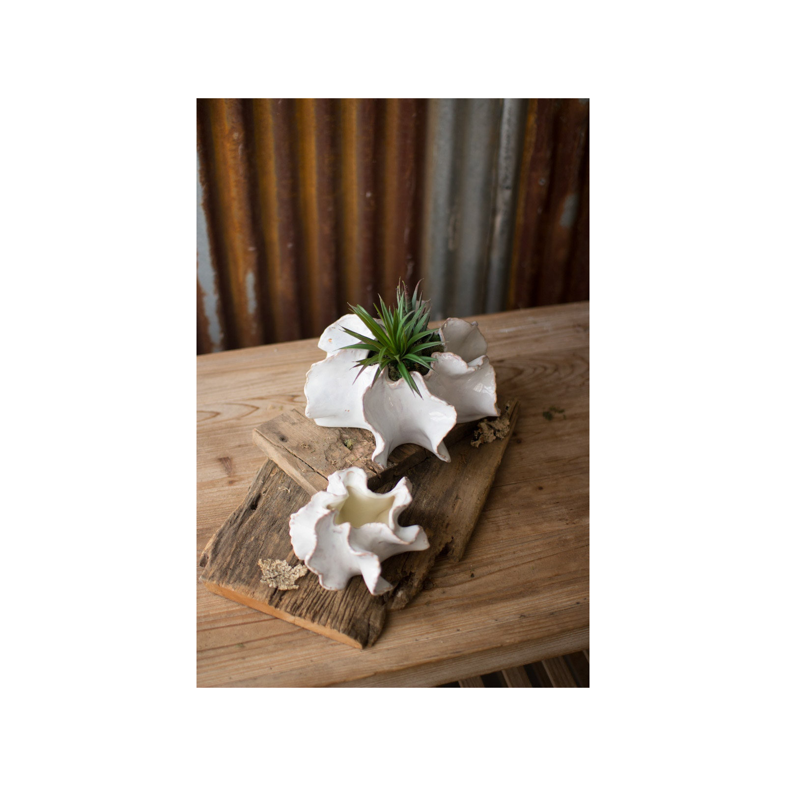 Ceramic Pot Planter - Set of 2
