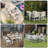 HDPE Outdoor-Dining-Table-Set-1508114353-1508114352