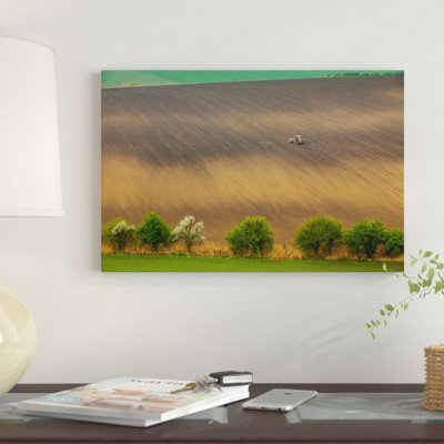 « tchèque republique, moravia, colza de colza, terrain de colza i » par mikolaj gospodarek, reproduction d’impression sur toile tendue