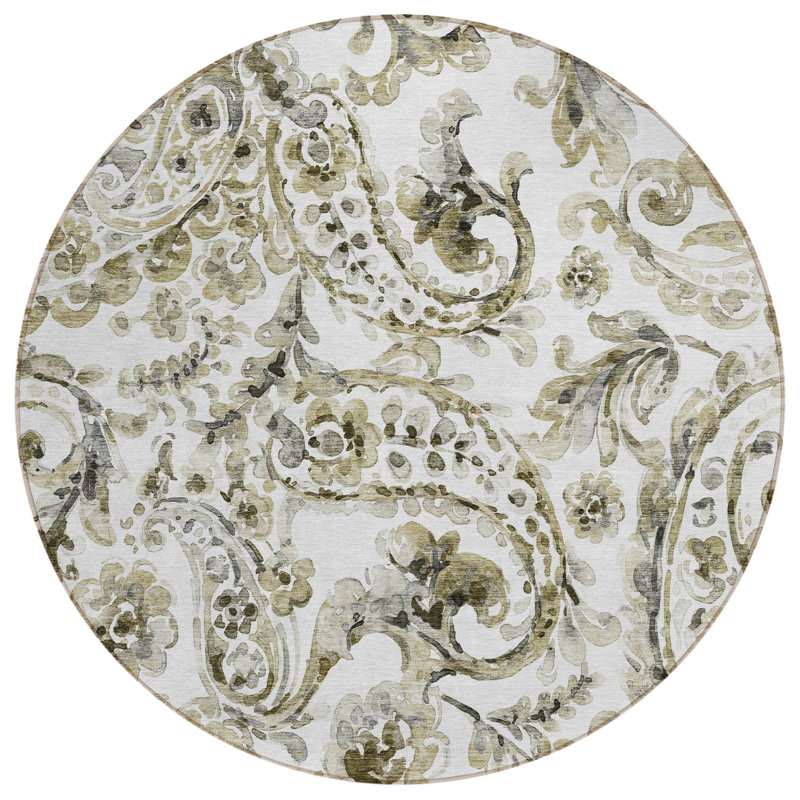 Siim Washable Paisley Indoor / Outdoor Rug, Round 8'
