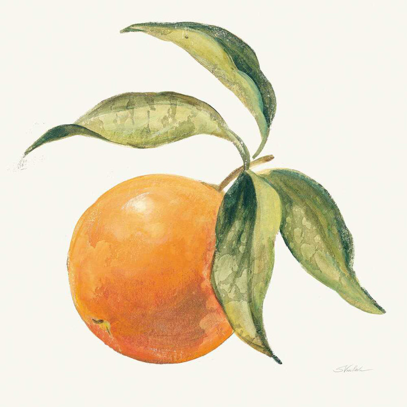 Le orange sur crème, H 20 po x l 20 po x P 1,25 po
