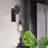 Iron Armed Sconce