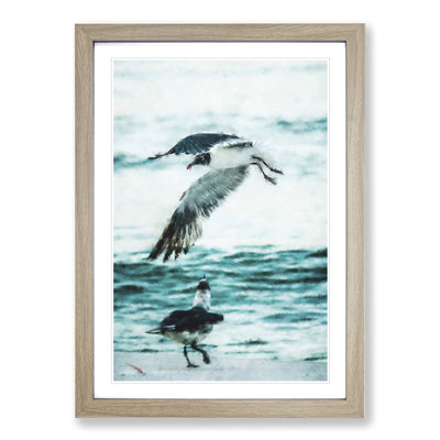 Two Seagulls on the Beach - Framed Print