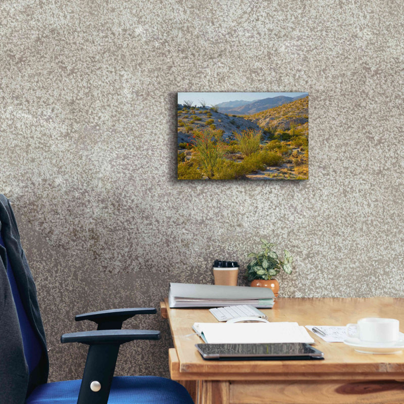 «Desert Ocotillo Landscape» par John Gavrilis, estampe numérique sur toile, H 12 po x l 18 po x P 0,75 po