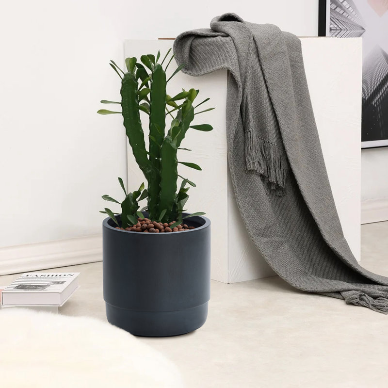 Handmade Modern Gray MgO 14.17" Round Pot Planter
