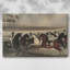 Animaux, paysage, série CCX-161681369