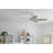 52'' Ceiling Fan-1187541456