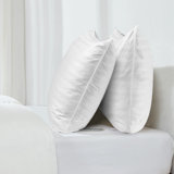 Goose Down Pillow + Pillowcase (pack Of 2)