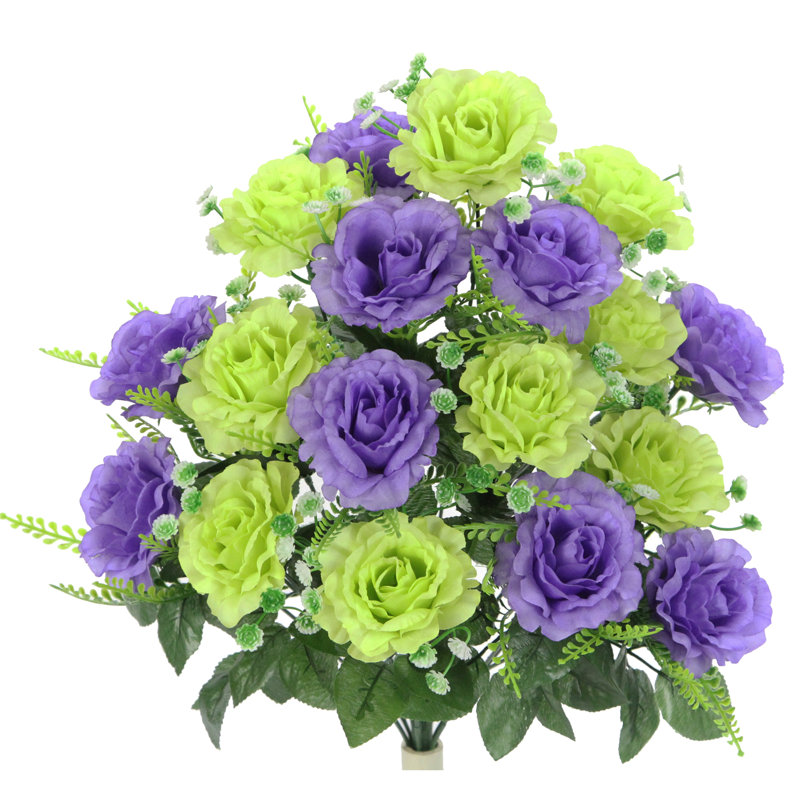 18 fleurs roses en pleine floraison, Kiwi/lavande
