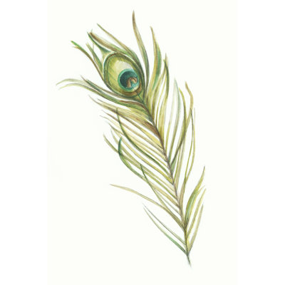 Plume de paon aquarelle I