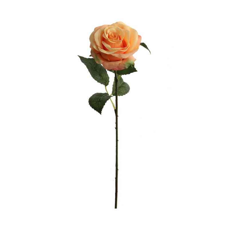 20" Open Rose Stem - 12 Packs, Peach