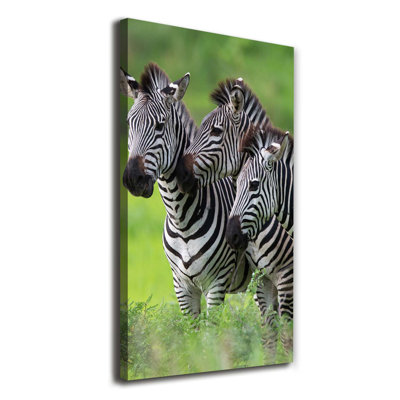 Three Zebras - Wrapped Canvas Print