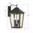 Michalena Matte Black + Textured Gold Outdoor Lighting-1830079190