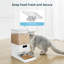 Mangeoire numérique automatique pour chat