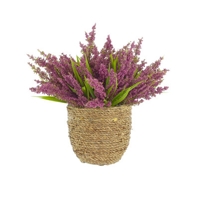 Heather in Strawgrass Pot