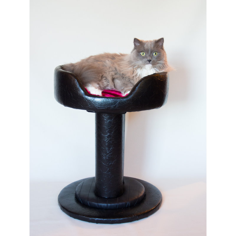 Lit pour chat Athaliah