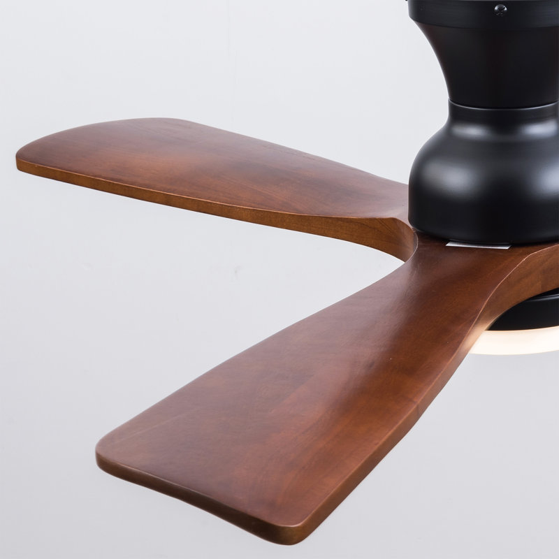 Hot Ventilateurs de plafond noirs modernes de 52 pouces avec lumières