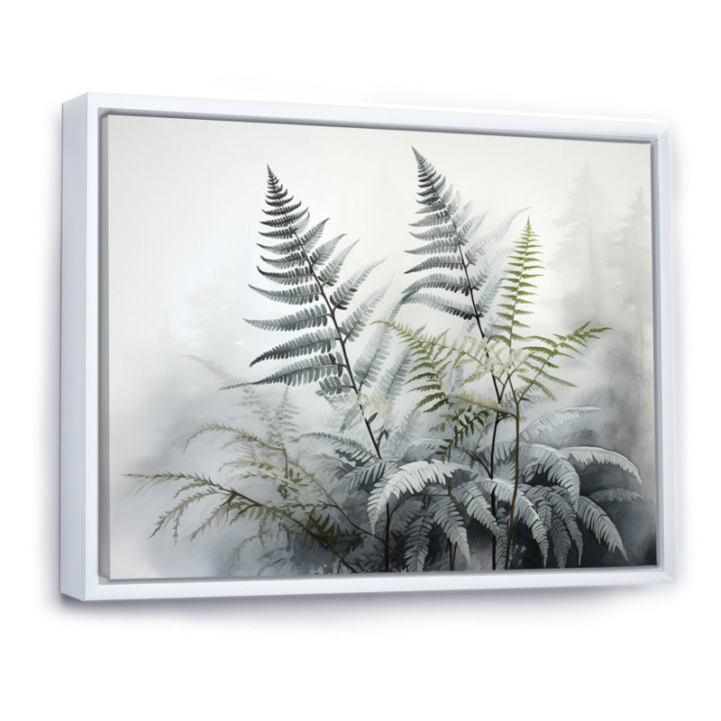 Ferns Silver Whispers III - impression, 34" H x 44" W, Cadre flottant blanc