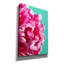 «Pink Peony» par Lexie Greer-774592218