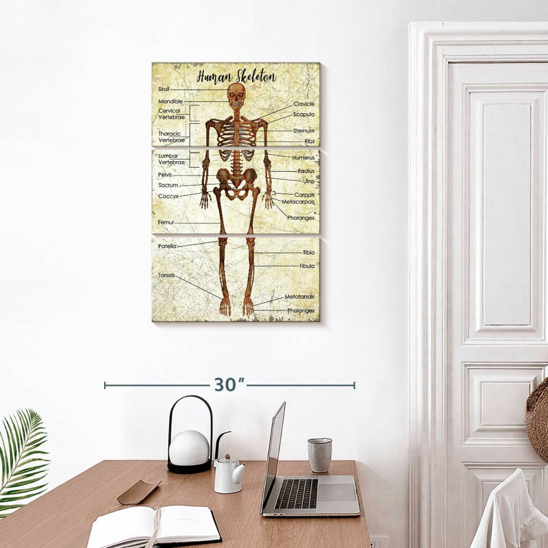 Tableau des squelettes humains Keiri, H 32 po x l 20 po