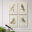 Toile encadrée de qualité supérieure Barn Owl - prête à être accrochée-472605959-472606012