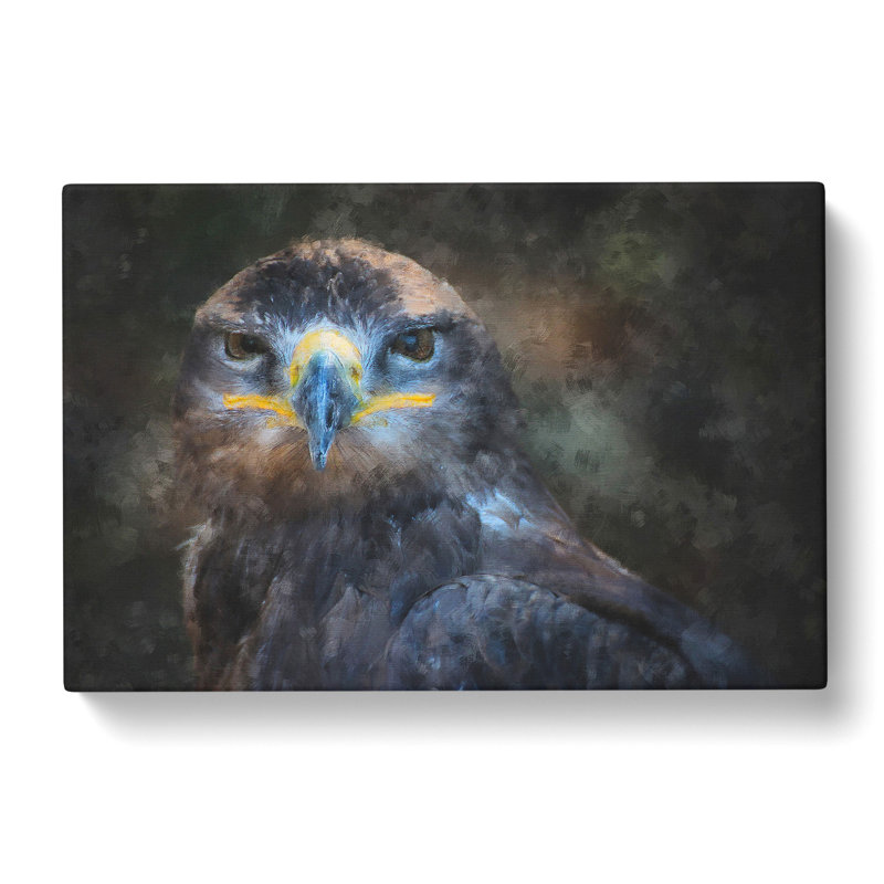 Golden Eagle Vol.1 - Wrapped Canvas Print, 35cm H x 50cm W x 3cm D