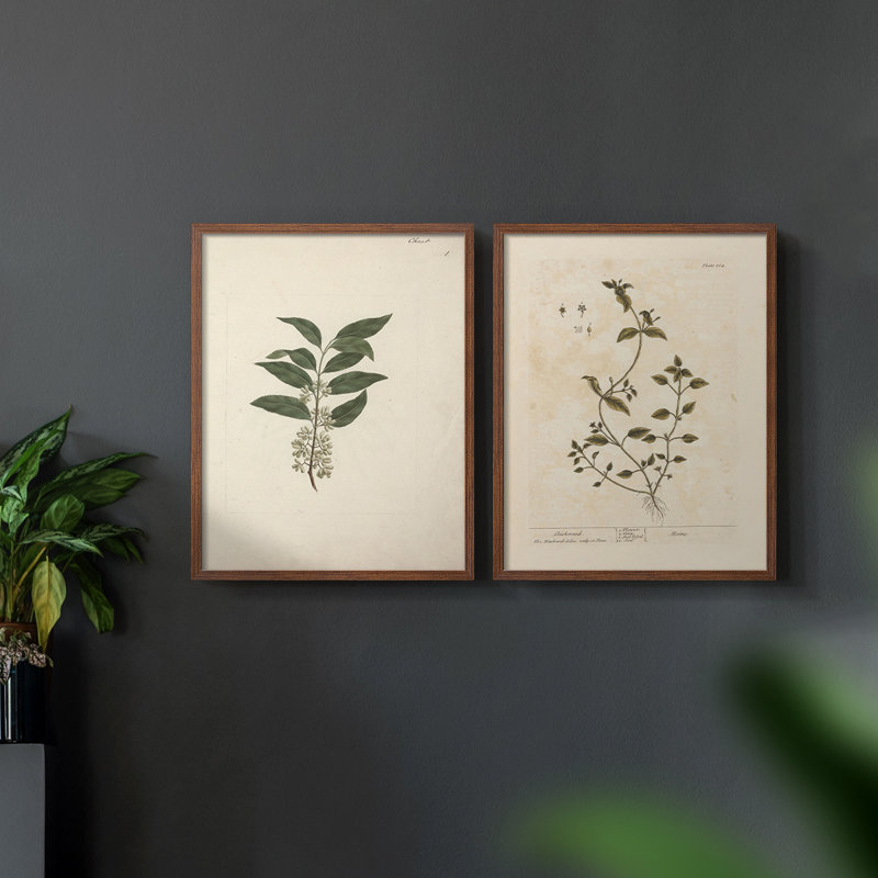 «Vintage Floral XIX», estampe numérique encadrée - ensemble de 2, Noyer, H 17 po x l 42 po