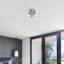 Faustina Spotlight-17228501