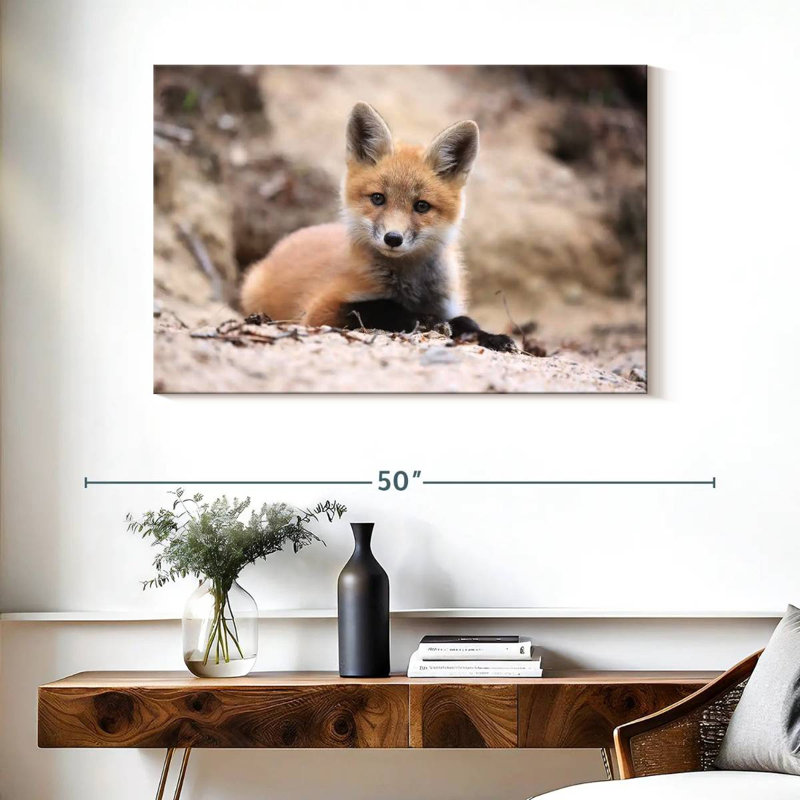 Petit renard brun, H 26 po x l 39 po